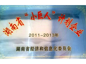 湖南省“小巨人”計(jì)劃企業(yè)