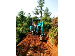 驥村鎮(zhèn)楊先生駕駛德力挖掘機(jī)鋪路