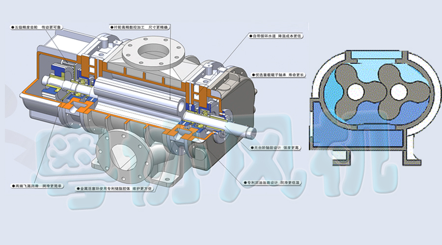 1486713934193643.jpg 1.jpg