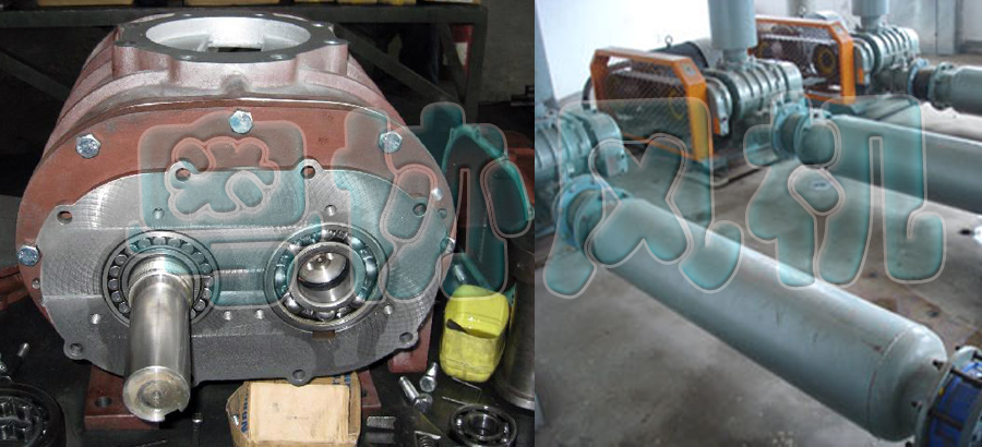 1486715255809556.jpg 7.jpg