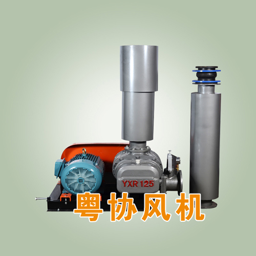 曝氣專用羅茨風(fēng)機.jpg
