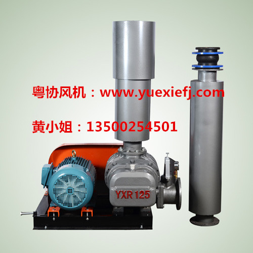 污水曝氣羅茨風機 污水曝氣羅茨風機