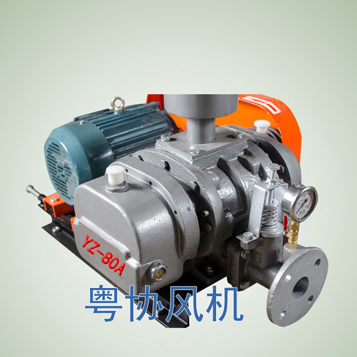 羅茨真空泵 羅茨真空泵