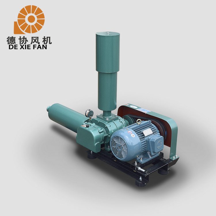 YZ-65D水產(chǎn)養(yǎng)殖羅茨風(fēng)機(jī)